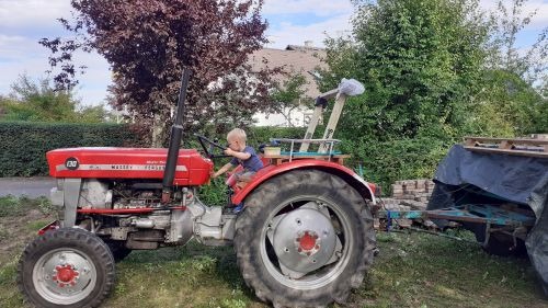 Himbeeren und Traktoren